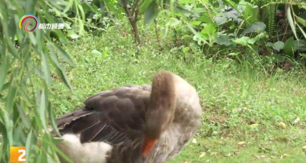 校长来了！中考志愿填报答疑解惑｜精雕细刻、崇尚一流——昆明市第十中学