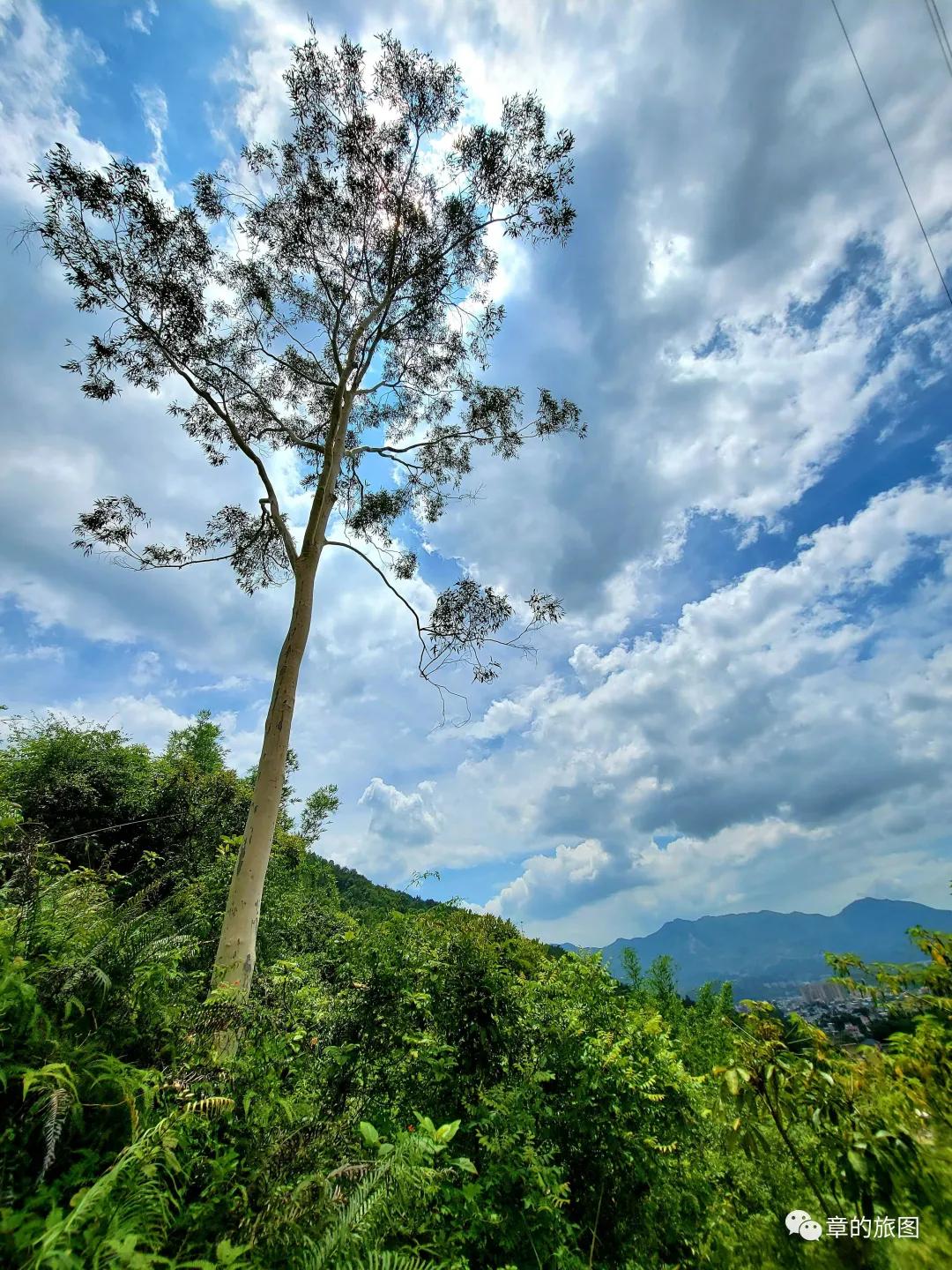 安溪野狼谷风景区,安溪野狼谷徒步