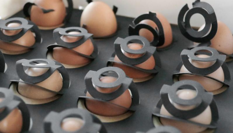 创意鸡蛋礼品盒包装设计,100个经典鸡蛋包装设计