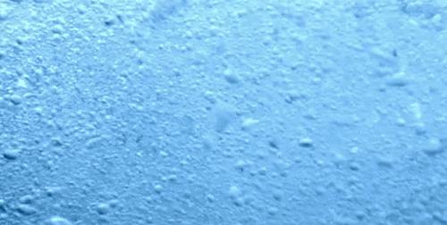 疫情蔓延，免疫力提高是关键！益生菌的秘密你应该要记住