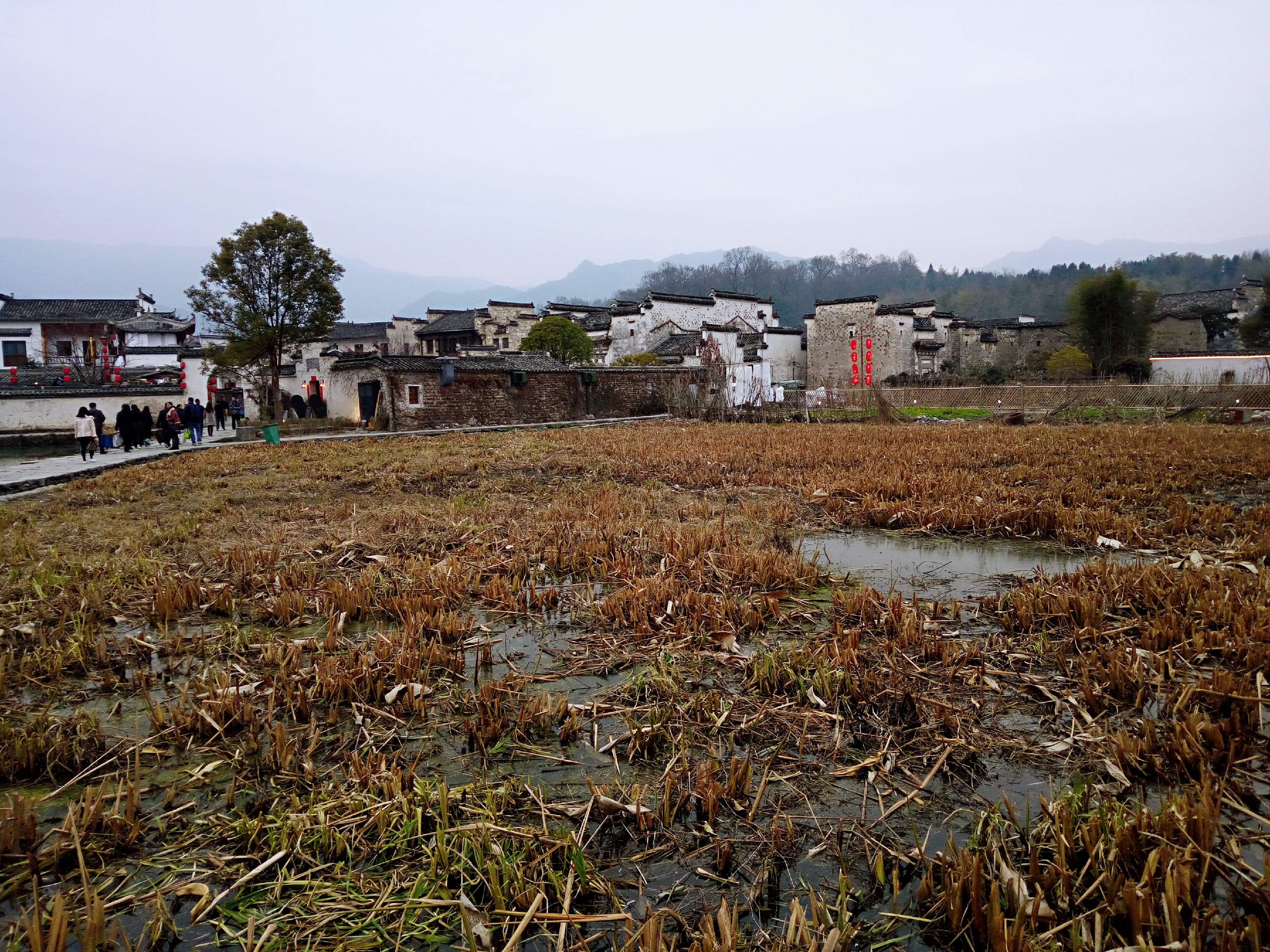 徽派村落宏村风景,山为牛头树为角的意思