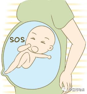 孕期周刊,孕期日记第21周