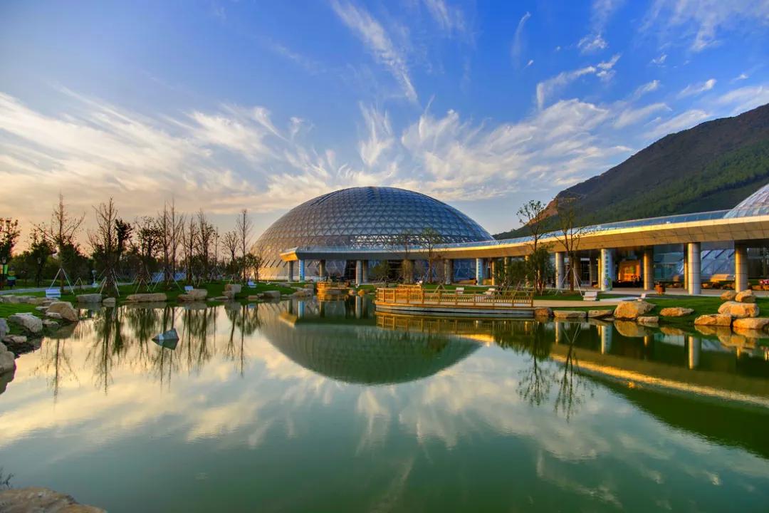 藏不住了！国庆苏州这片花海美哭了！大人小孩玩到不想走