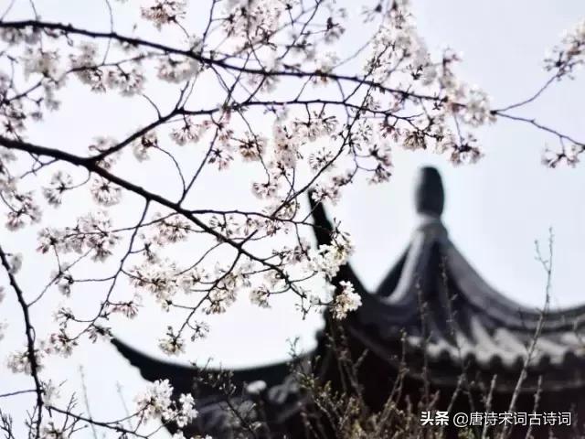 颠覆认知的古诗,颠覆认知脑洞大开的语句