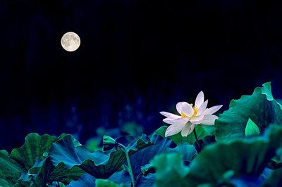 朱自清背影中的父子关系,朱自清写完背影后的父子关系