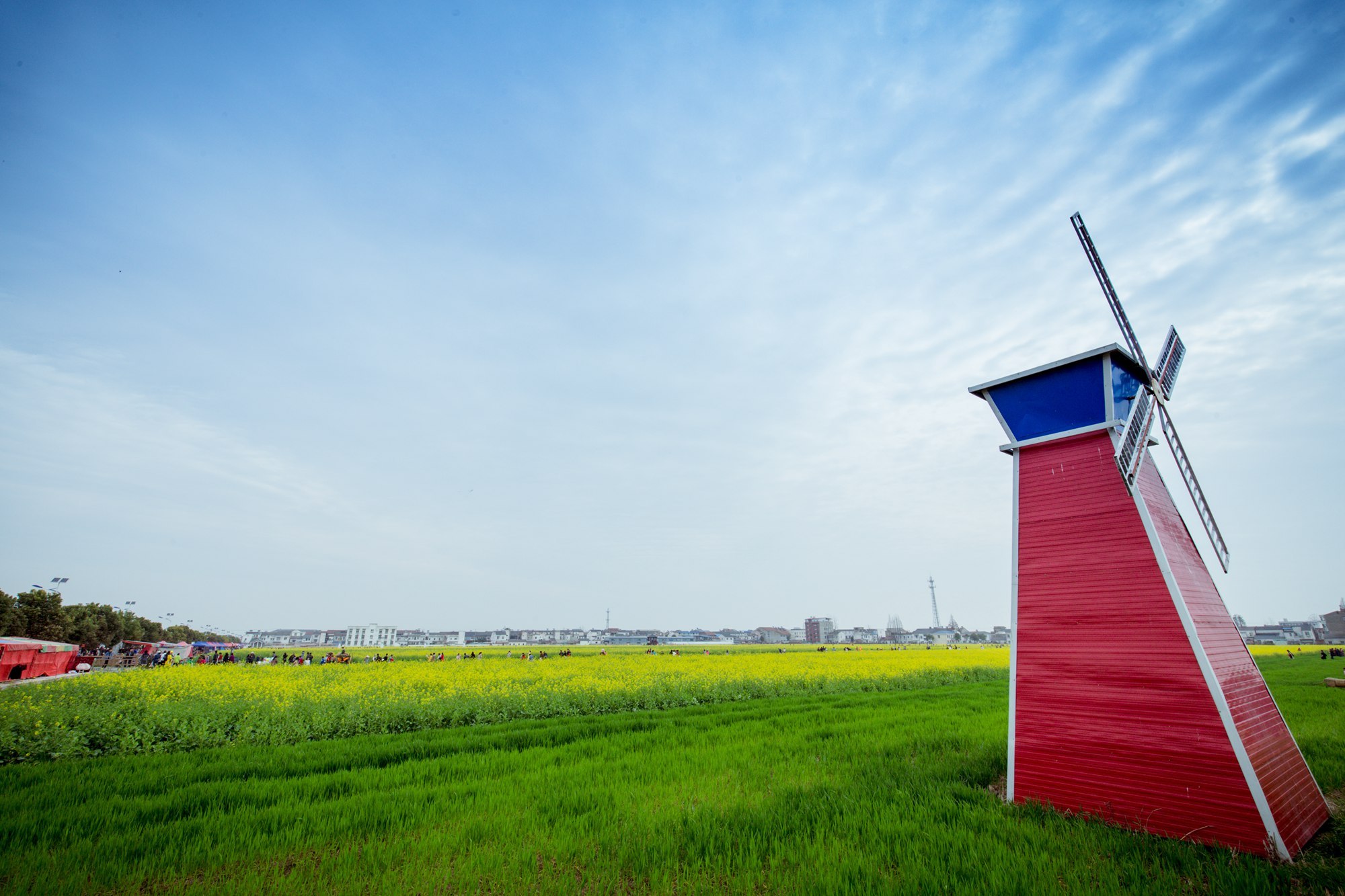 今日春分,武汉这时候不仅有樱花,这里的花随风一吹人都酥了