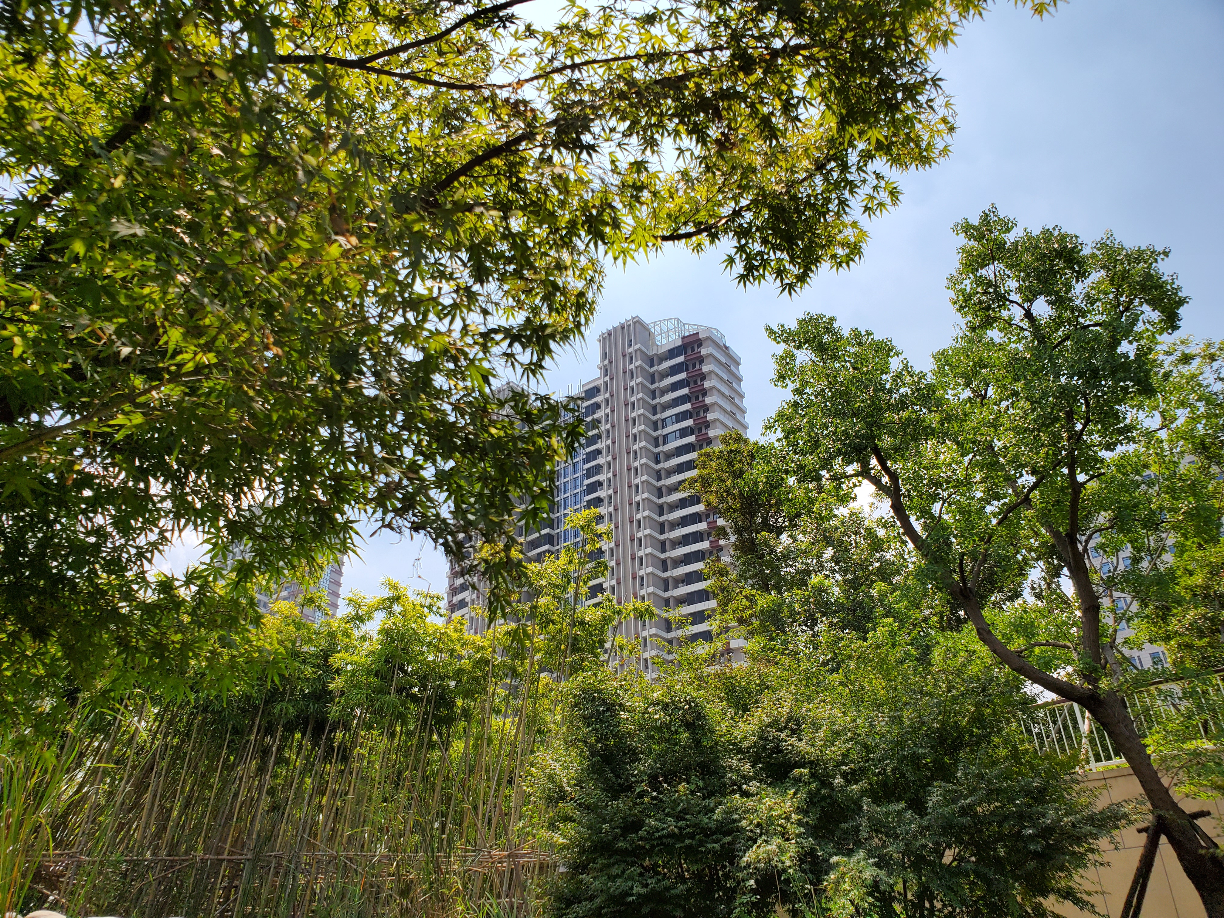 vivoz5手机值得入手吗,vivoz5现在还值得买吗