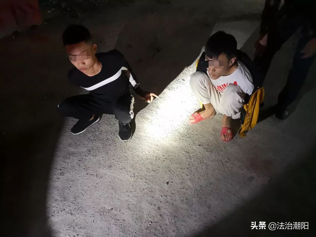 市面上的冬虫夏草多数都是假的,市面上有很多冬虫夏草