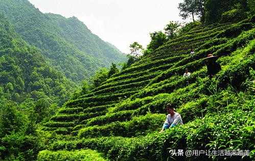 龙胜哪儿有好看的景区,广西的龙胜有什么好玩的