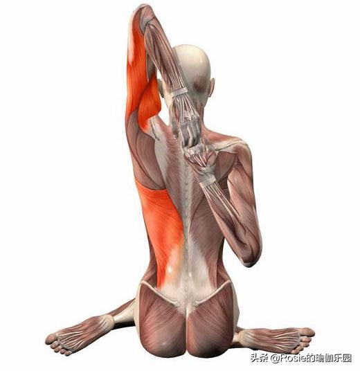 屁股肥大腿粗平躺怎么瘦,久坐腿粗臀下垂怎么锻炼