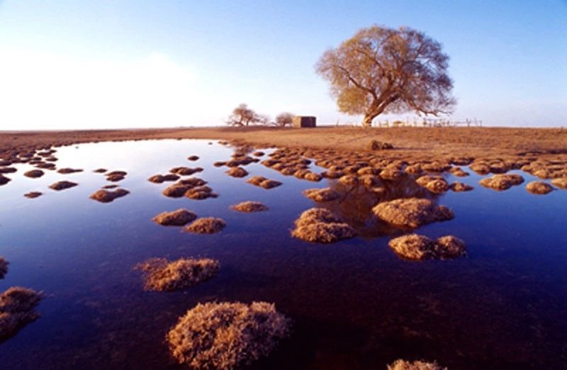 罗布泊无人区死亡之海以前的样子,新疆罗布泊死亡之海可以怎么去