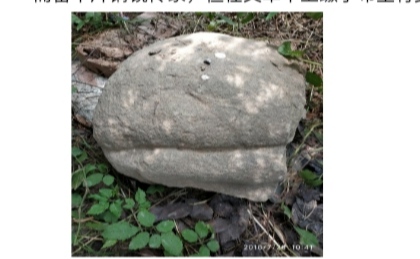 布王的传说故事,布王历史