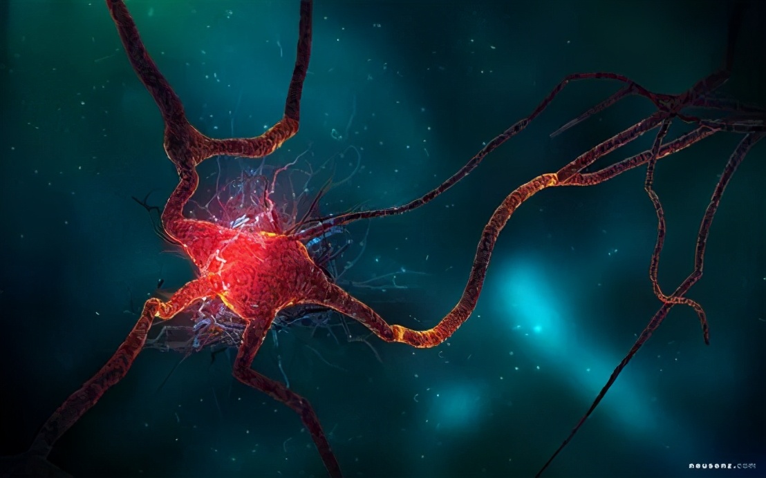 神经网络自校正控制原理,神经网络预测天气原理