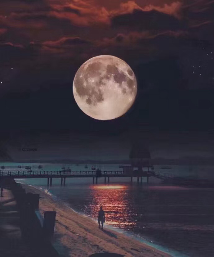 古诗十九首每首名句鉴赏,古诗十九首以长于说理著称