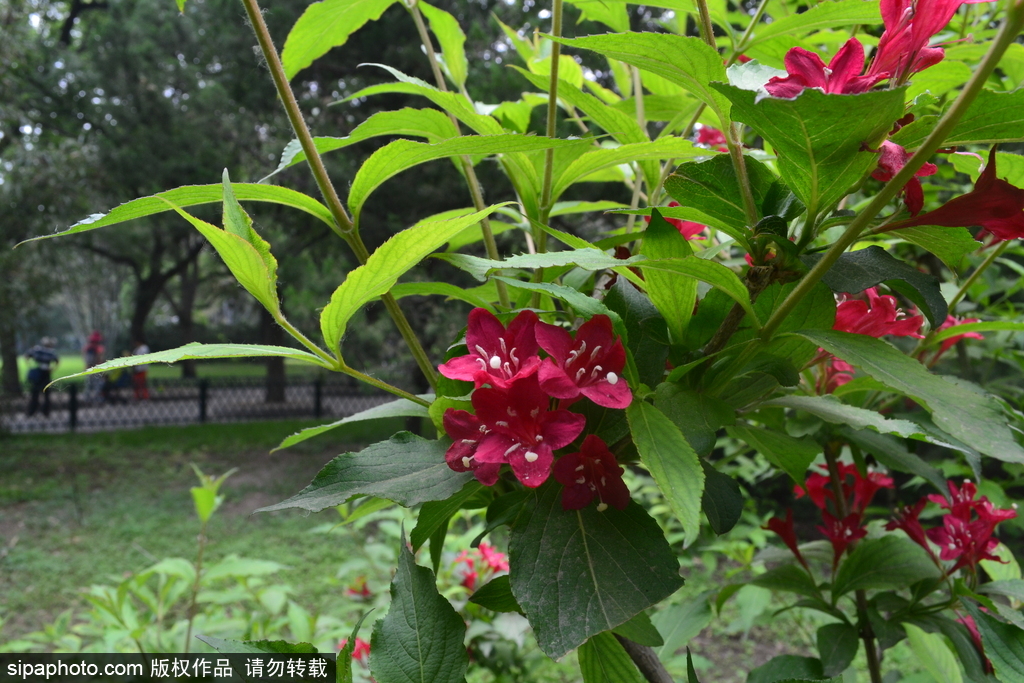 2013广州游记之孙中山纪念堂,孙中山故居纪念馆一日游