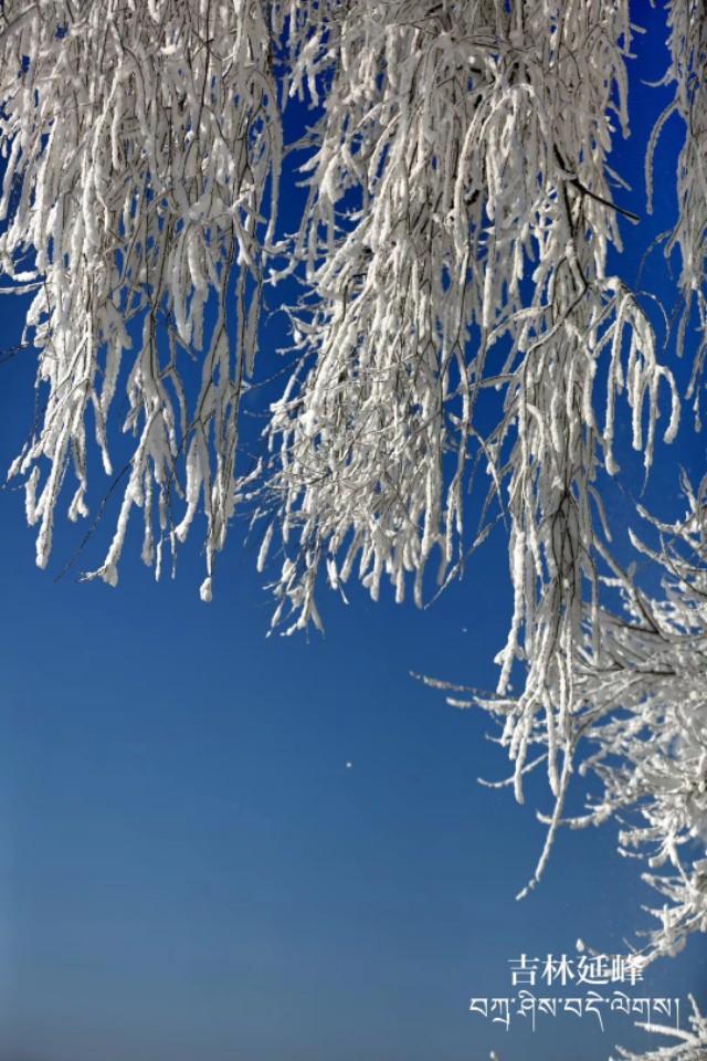 吉林从沿海城市变成内陆城市,吉林市怎么变成几线城市