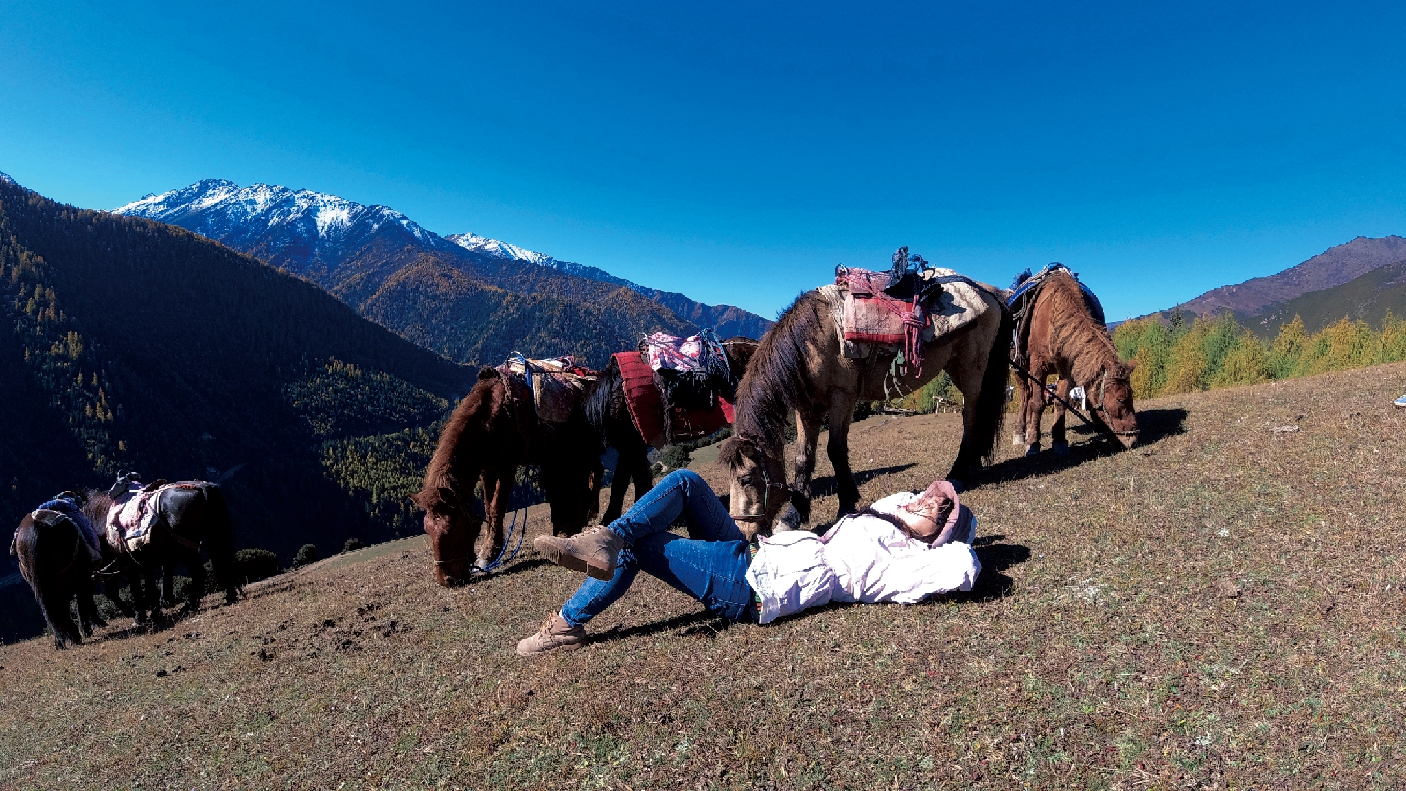 四川旅游四姑娘山阿坝,4月阿坝州必去的景点有什么