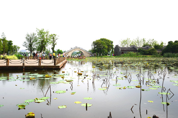 南昌动物园哪里有大象,南昌大象公园