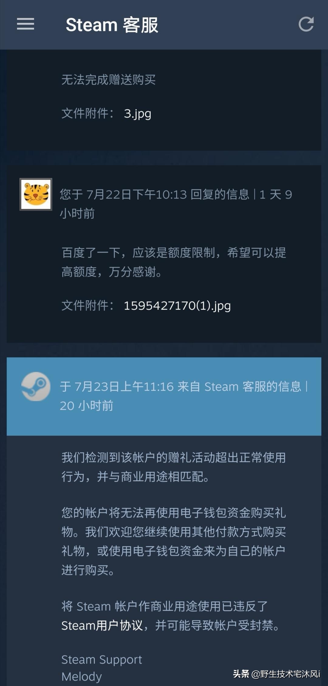 steam无法用余额赠送吗,steam账户受限充值后依然受限