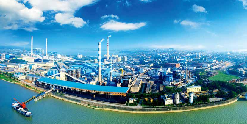 做强纸业“生态+”大文章,奋力打造高质量发展典范——岳阳林纸绿色发展纪实