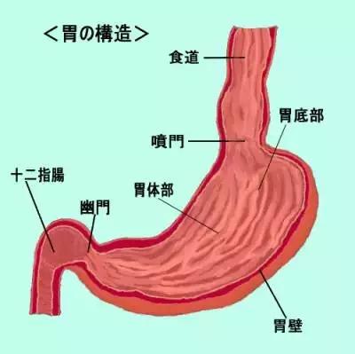 胃癌超过5年的真实案例,2021全球胃癌数据