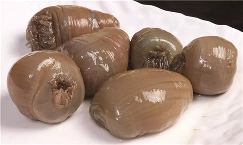 沙蒜吃多了有什么坏处,吃沙蒜的好处和坏处