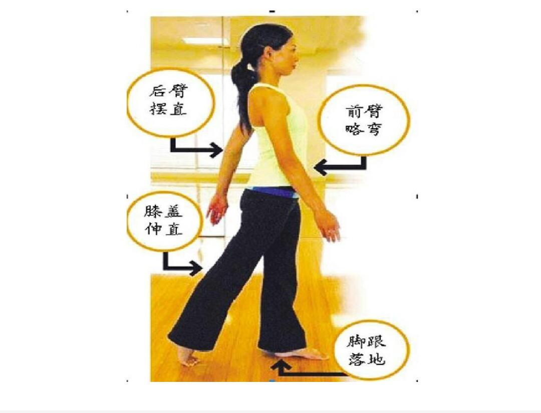 读书让灵魂优雅地行走,读书使人优雅的感悟