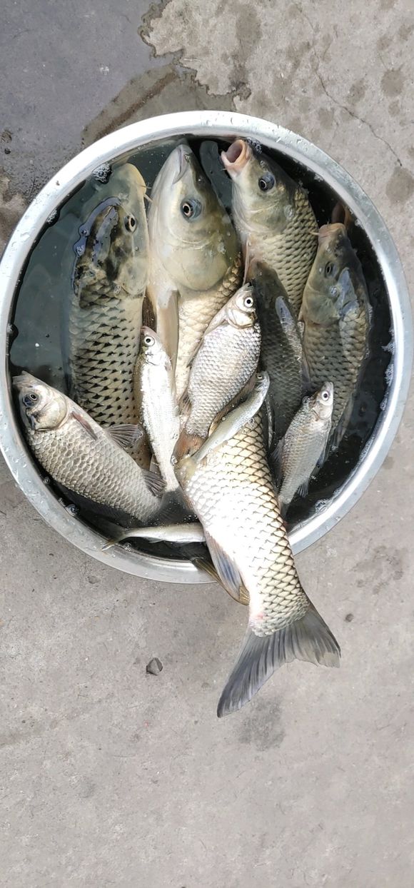 线组的正确组合和影响,线组怎么选择大小