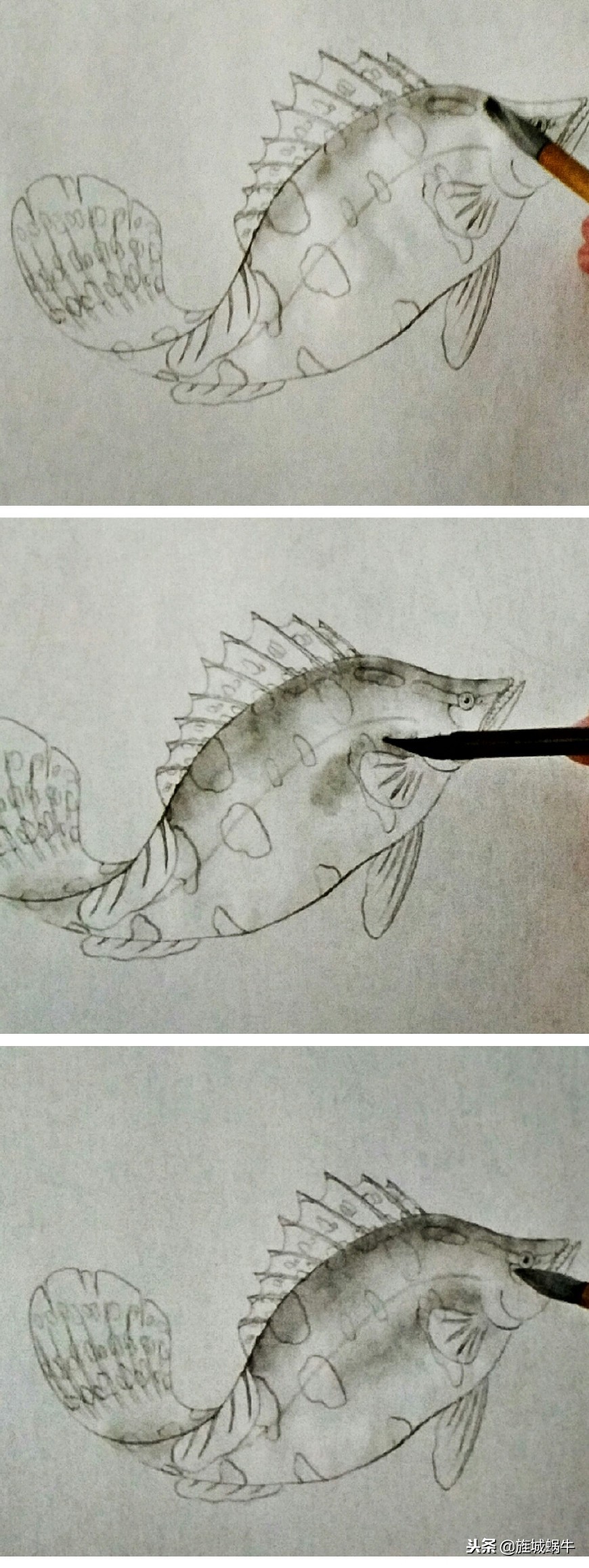 鳜鱼画法小视频,鳜鱼工笔画法视频