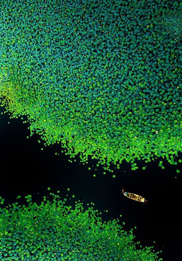 开原第一狠人视频,铁岭东北城