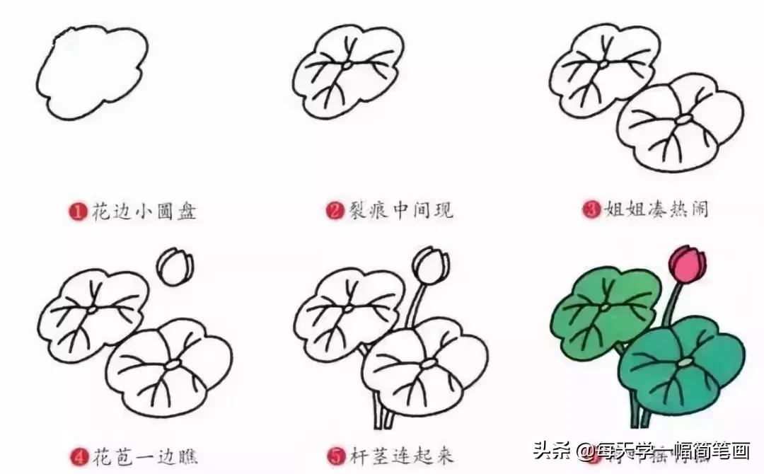 儿童海底动物简笔画大全简单,从海面到海底的简笔画