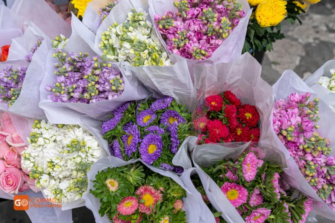 重庆最大的花市在哪里,重庆花市排名前十名