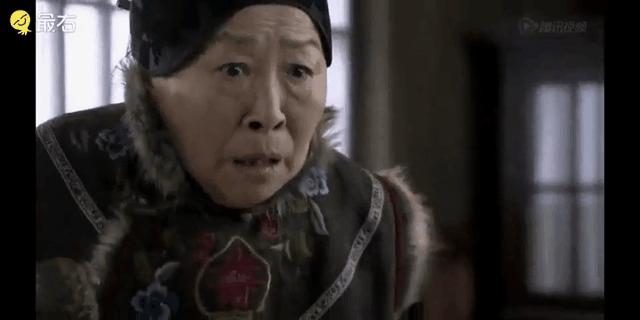 养仓鼠需要准备什么吃的食物,仓鼠饮食食谱