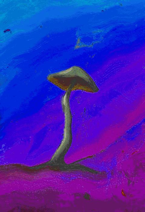 菌子为什么中毒,菌子中毒到底啥样