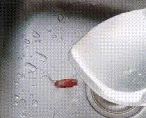 家里蟑螂多用什么方法灭蝇效果好,除蟑螂家用灭蟑神器