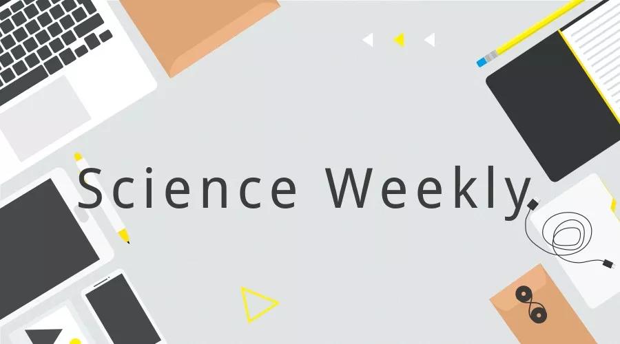 太重口了！糖蚁居然最喜欢喝尿液|一周科技