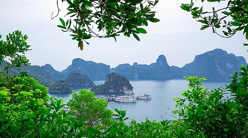 坚持预防为主综合治理,坚持预防为主的方针深入实施