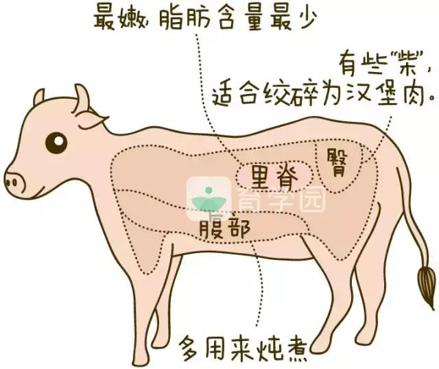 牛肉怎样吃有利于孩子成长,牛肉可以给宝宝做什么辅食