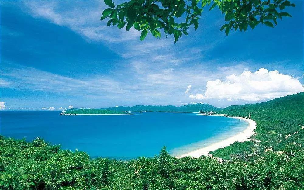 你好，我叫三亚，这是我的新版简历，请查收