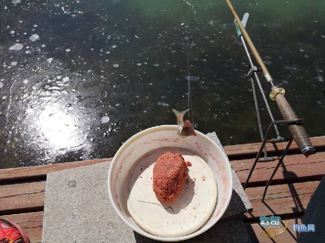 战蓝鲫饵,野钓开饵九一八野战蓝鲫