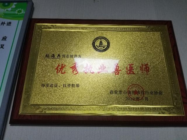 泰迪幼犬细小冠状能治好吗,幼犬泰迪得了细小自己在家怎么治