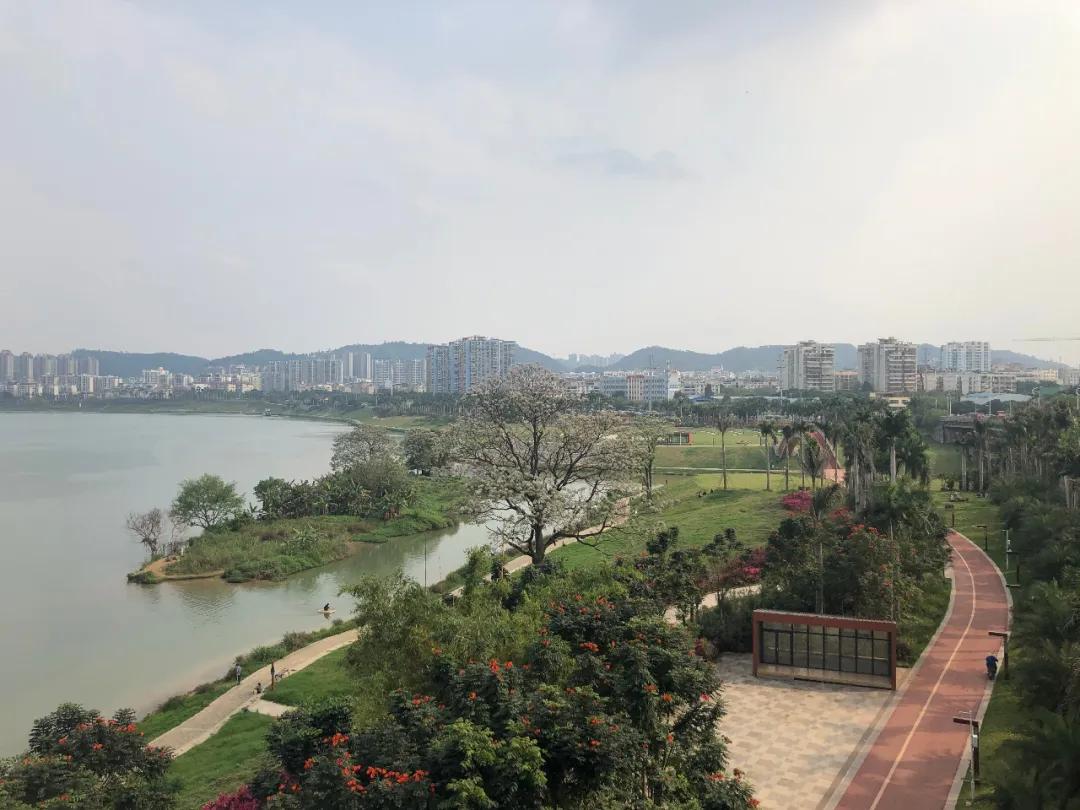 柳沙高端盘,柳沙神盘现在怎么样