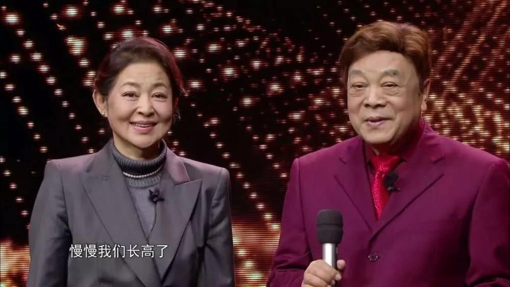 赵忠祥辟谣去世传闻,赵忠祥临终前和倪萍密谈