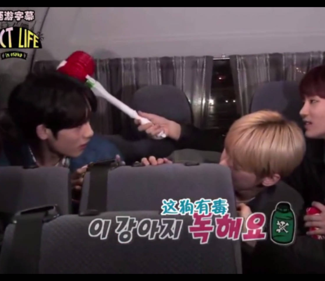 nct成员定位介绍,nct02