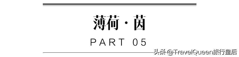 欧洲airbnb民宿,魔都这些超豪华泳池酒店