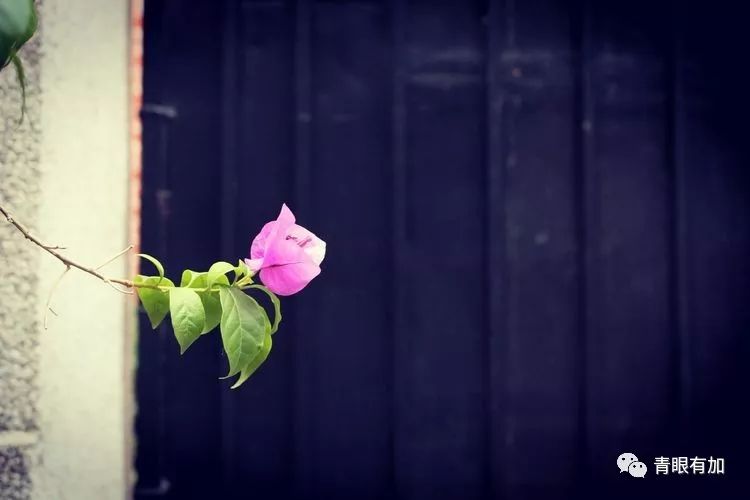 上海黄河路132弄,上海山阴路132弄图片