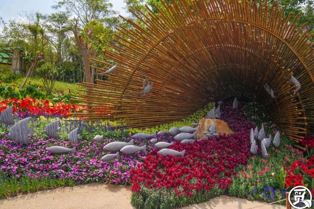 深圳史上最大最美的花展来啦,走进深圳仙湖植物园的国际花展