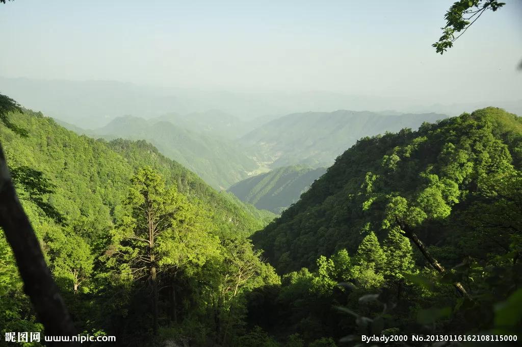 陕西石泉云雾山门票多少钱,陕西云雾山旅游风景区