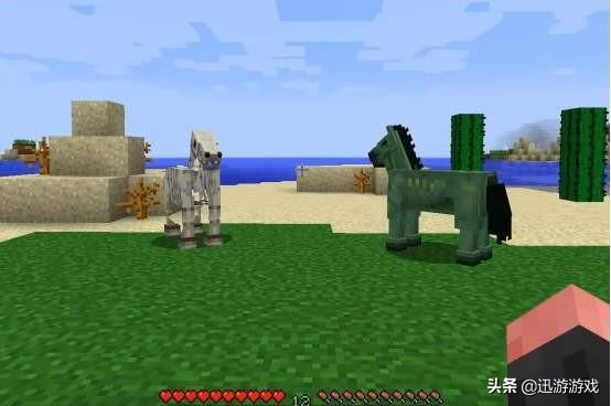 我的世界玩家最讨厌的生物,我的世界玩家的恐惧