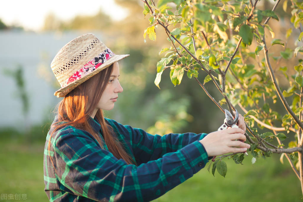 庭院养护全攻略,庭院冬季养护注意事项图片